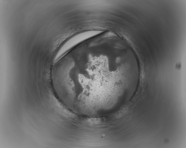 X0000111790353200907301150