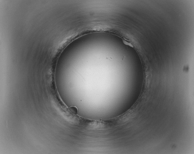 X0000111790354200907301150