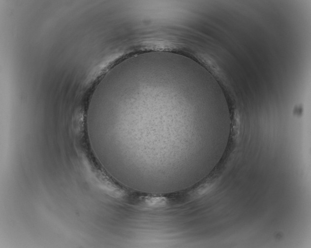 X0000111790355200907301150