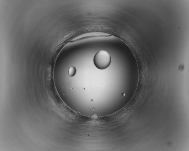 X0000111790356200907301150