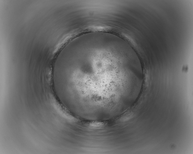 X0000111790357200907301150