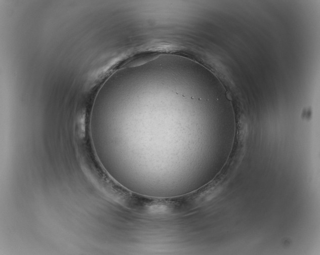 X0000111790358200907301150