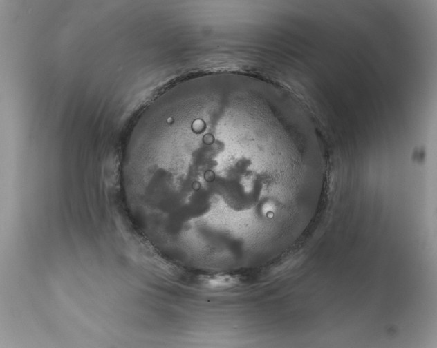 X0000111790359200907301150