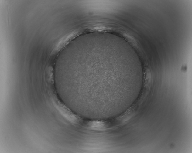 X0000111790361200907301150