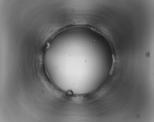 X0000111790362200907301150