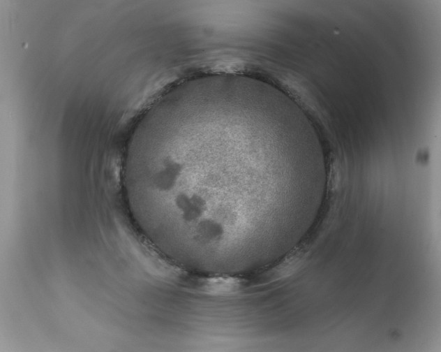 X0000111790363200907301150