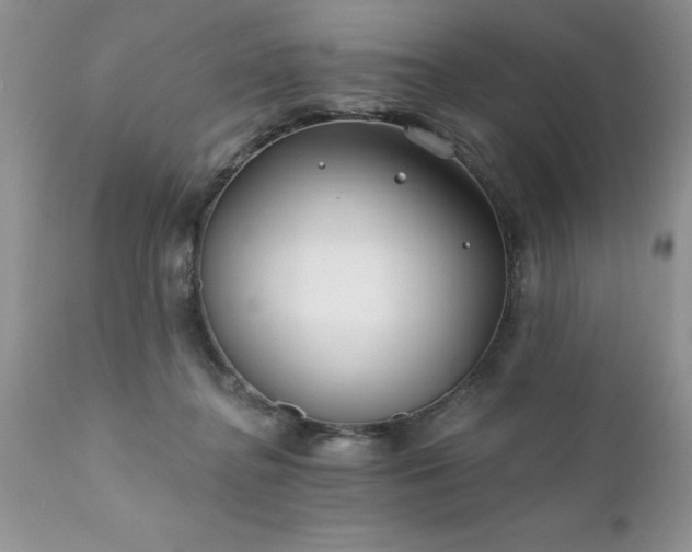 X0000111790364200907301150