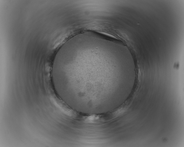 X0000111790366200907301151