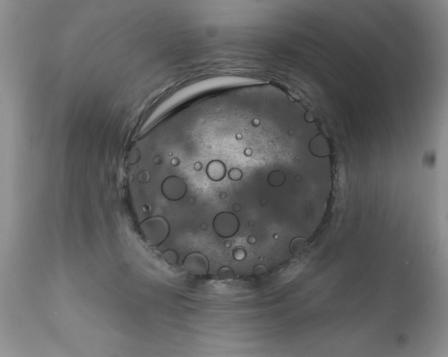 X0000111790367200907301151