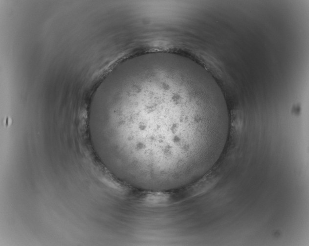 X0000111790369200907301151