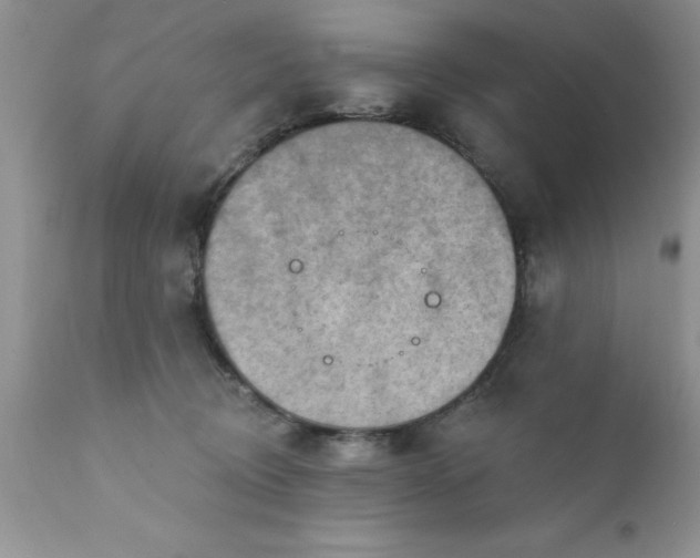 X0000111790370200907301151