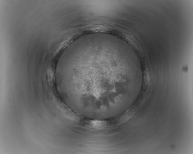 X0000111790371200907301151