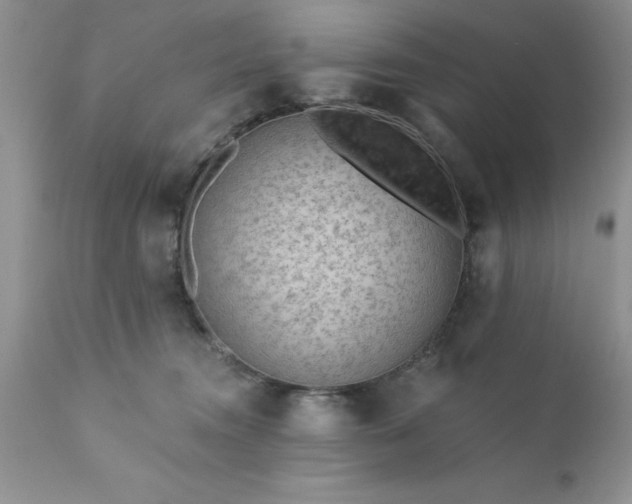 X0000111790372200907301151