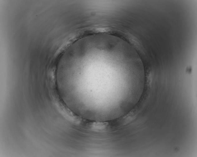 X0000111790373200907301151