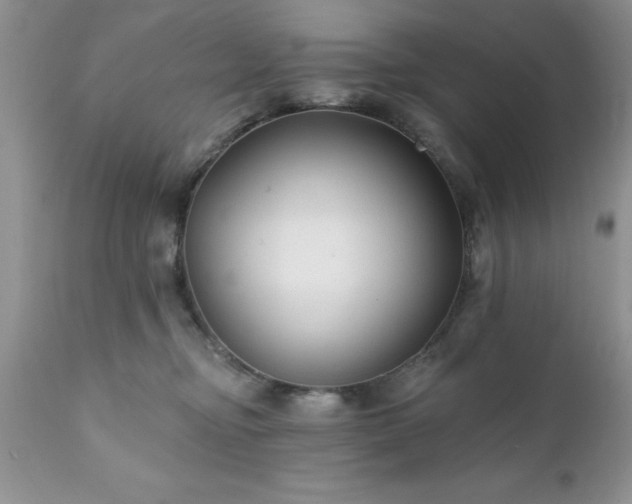 X0000111790374200907301151