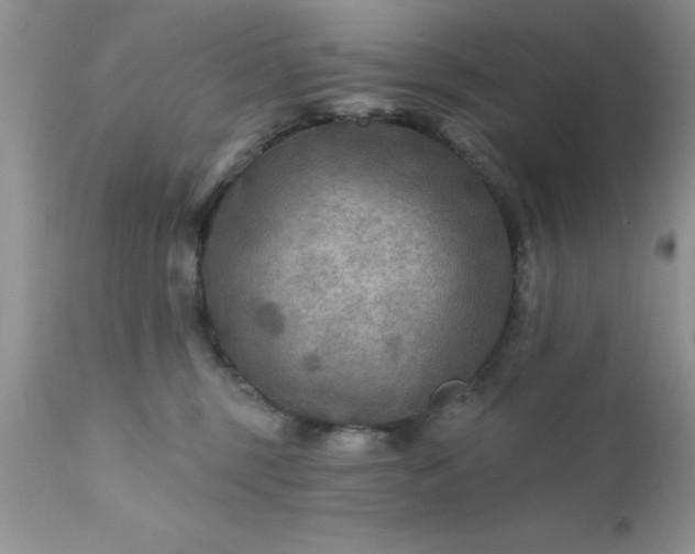 X0000111790375200907301151