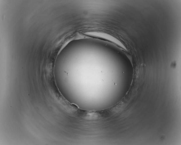 X0000111790376200907301151