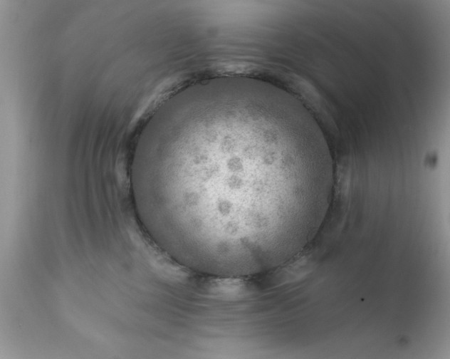 X0000111790377200907301151