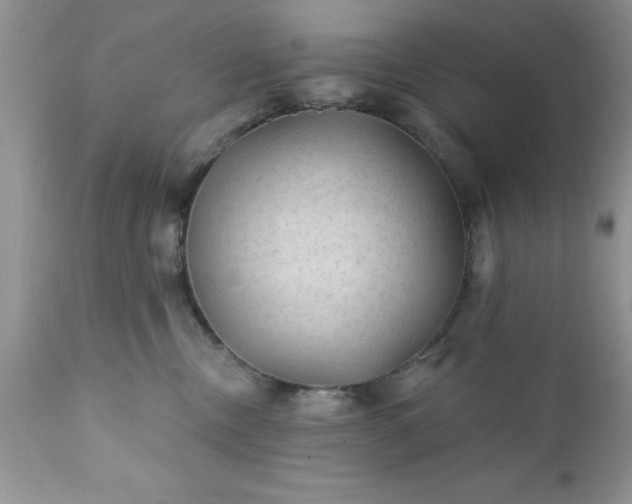 X0000111790378200907301151