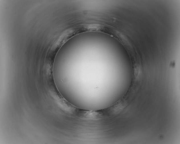 X0000111790379200907301151