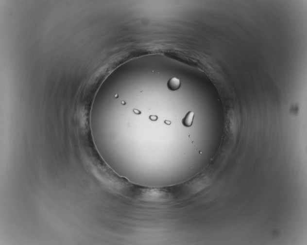 X0000111790380200907301151