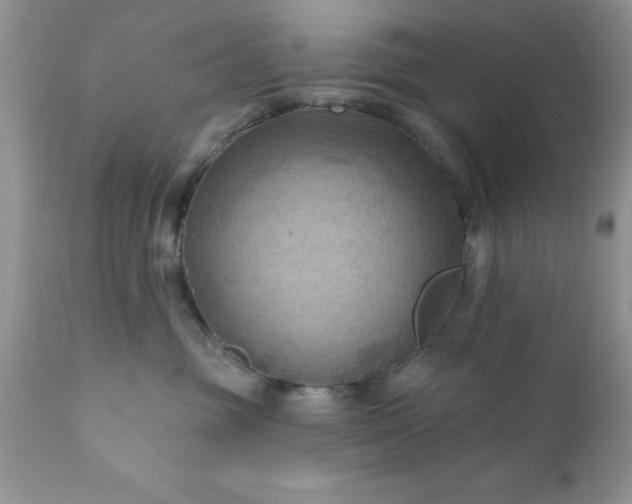 X0000111790381200907301151