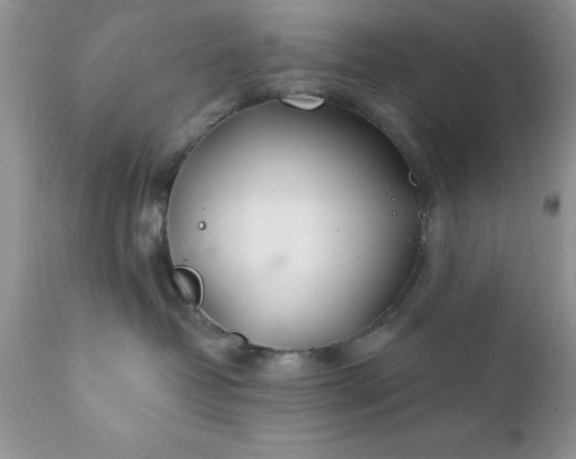 X0000111790382200907301151