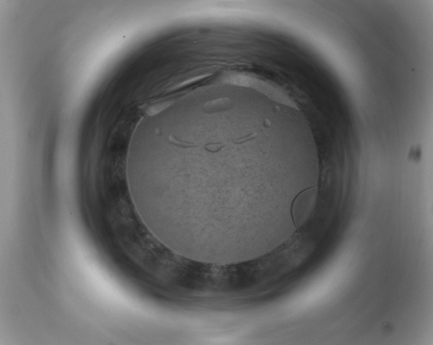 X0000111790383200907301151