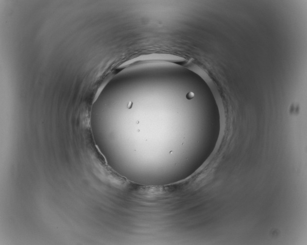 X0000111790384200907301151