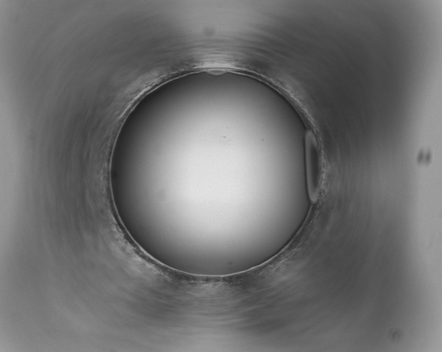 X0000111790385200907301150