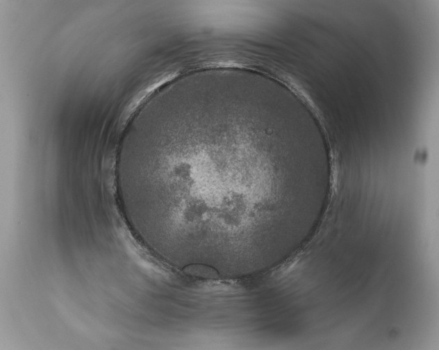 X0000111790386200907301150