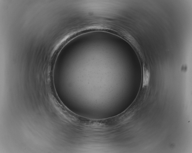 X0000111790387200907301150