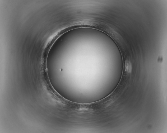 X0000111790388200907301150