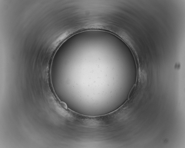 X0000111790389200907301150