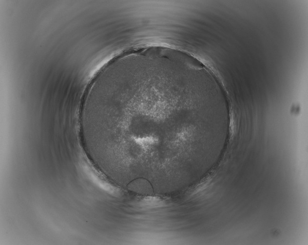 X0000111790390200907301150