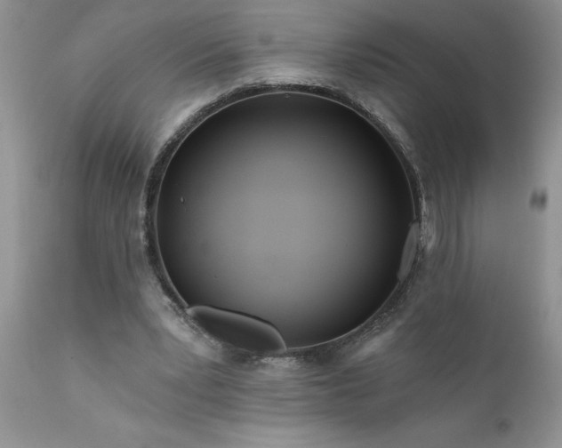 X0000111790391200907301150