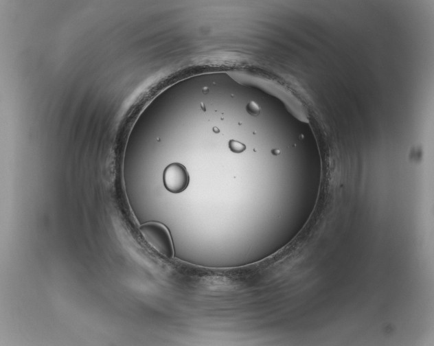 X0000111790392200907301150