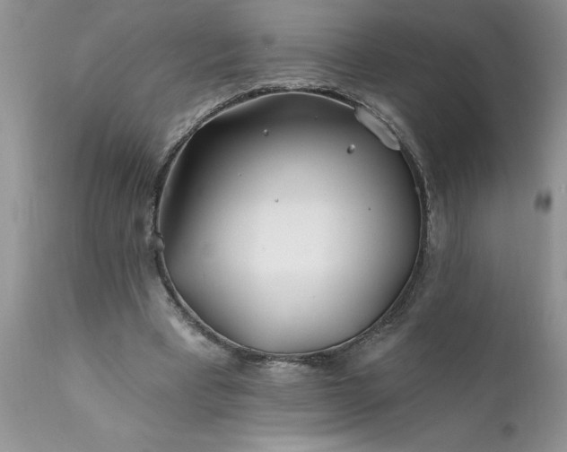 X0000111790393200907301150