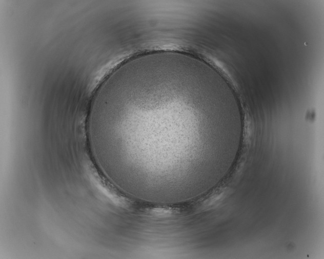 X0000111790394200907301150