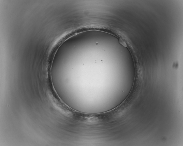 X0000111790395200907301150