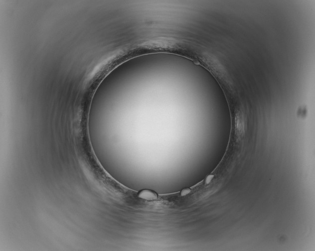 X0000111790396200907301150