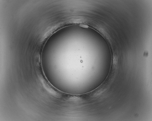 X0000111790397200907301150