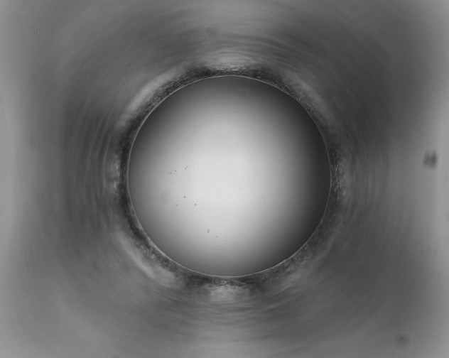 X0000111790400200907301150