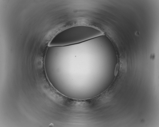 X0000111790401200907301150