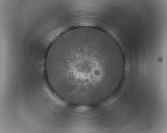 X0000111790402200907301150