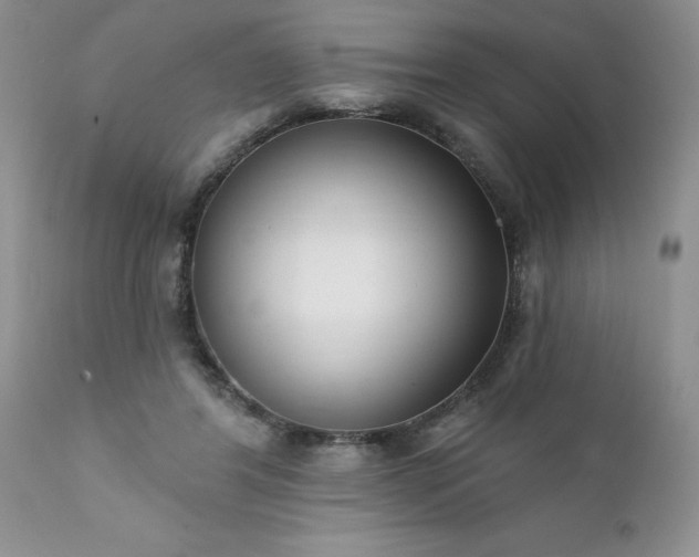 X0000111790404200907301150