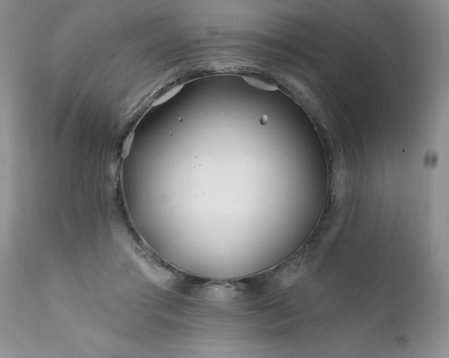 X0000111790405200907301150