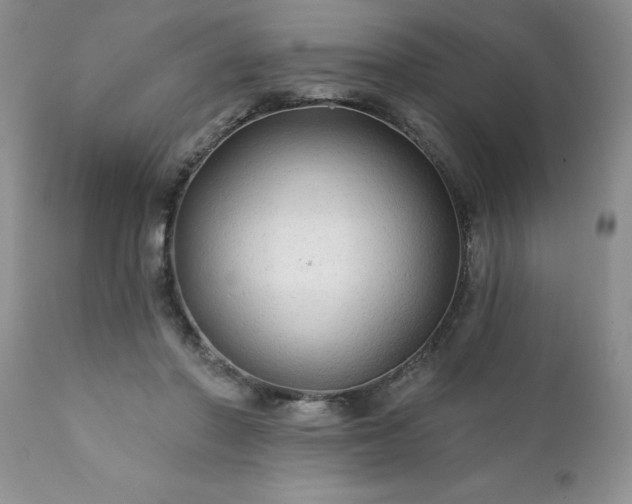 X0000111790406200907301150