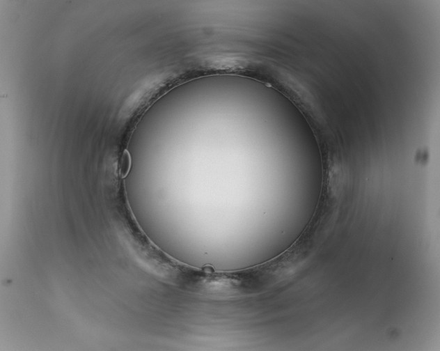 X0000111790407200907301150