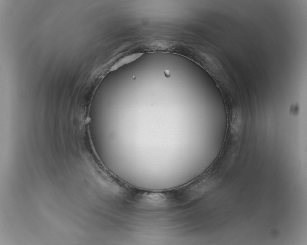 X0000111790409200907301150